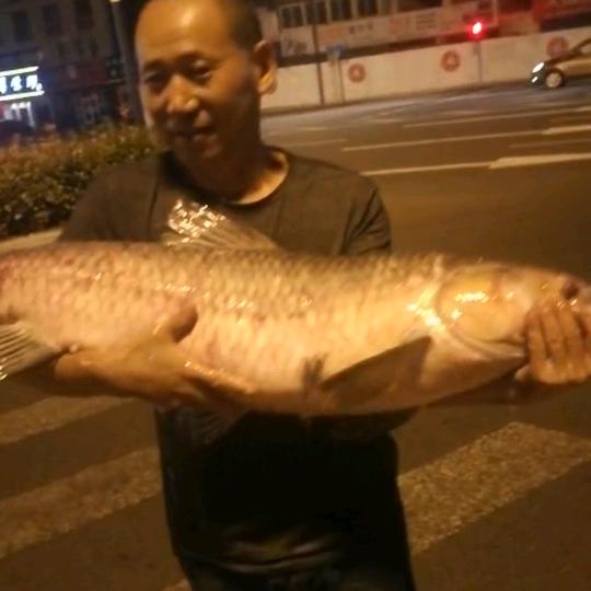 手工美式传统撒网