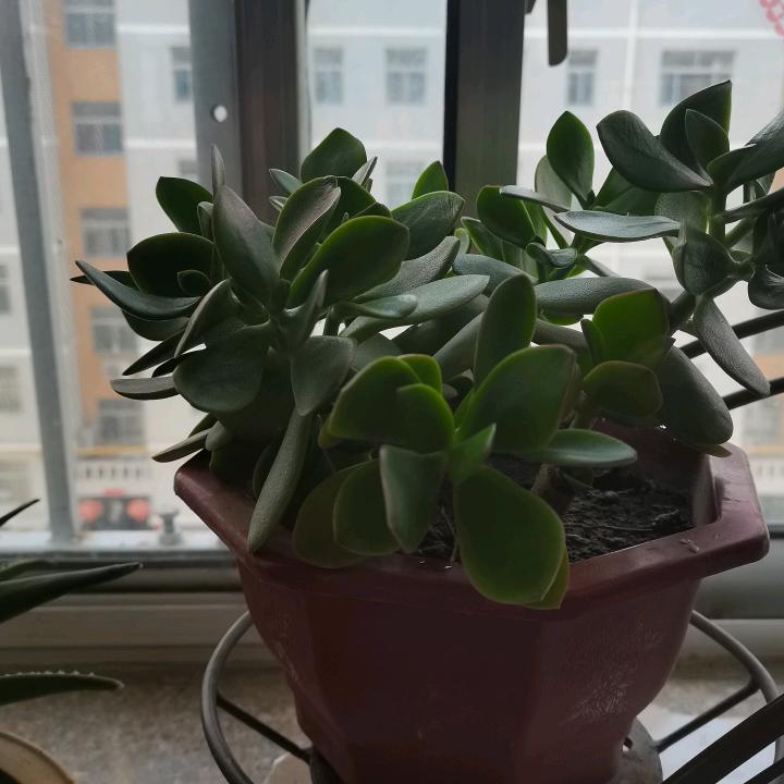 潍坊弘润温泉度假酒店