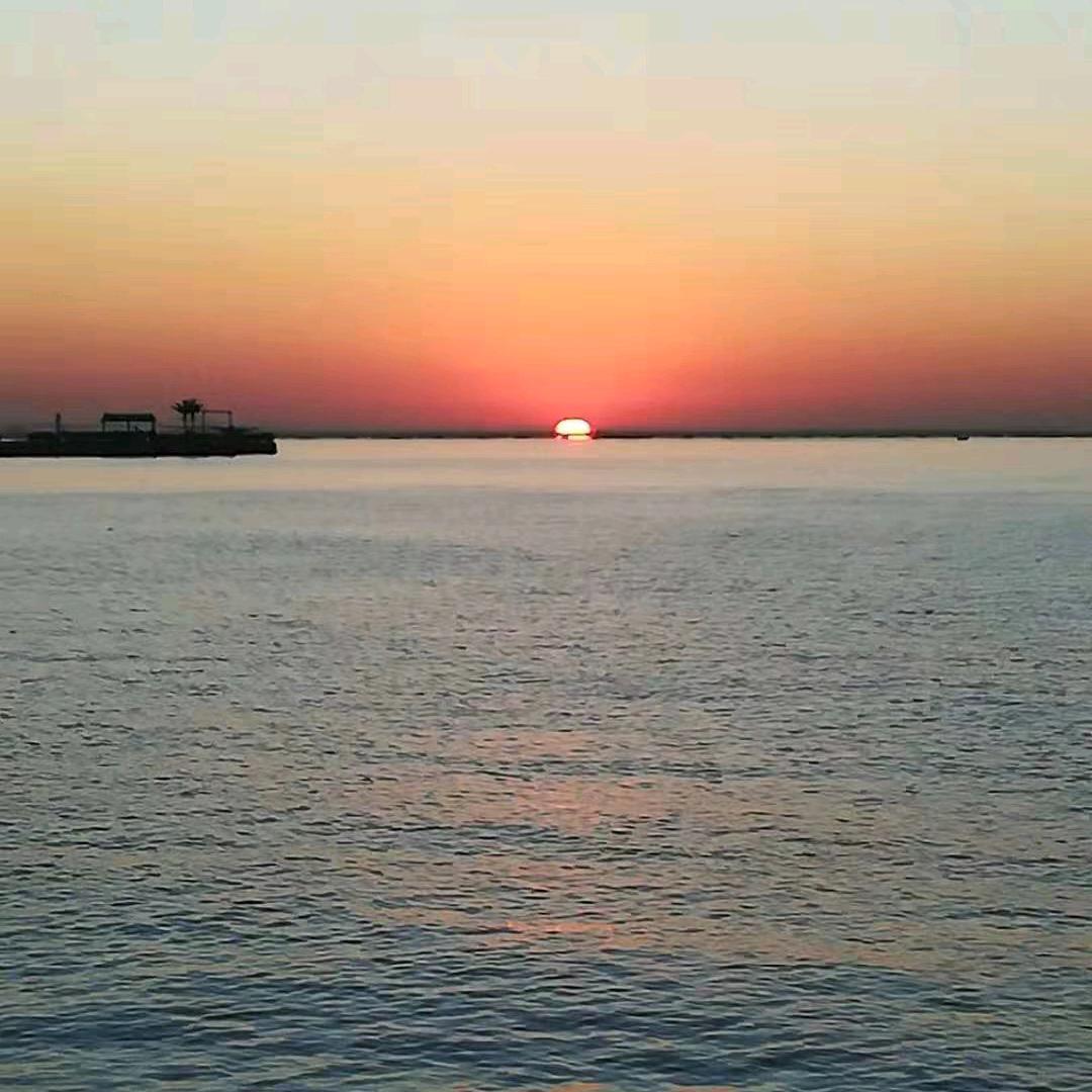 彩云伴海鸥