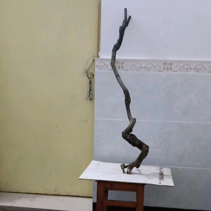 人在钱就在