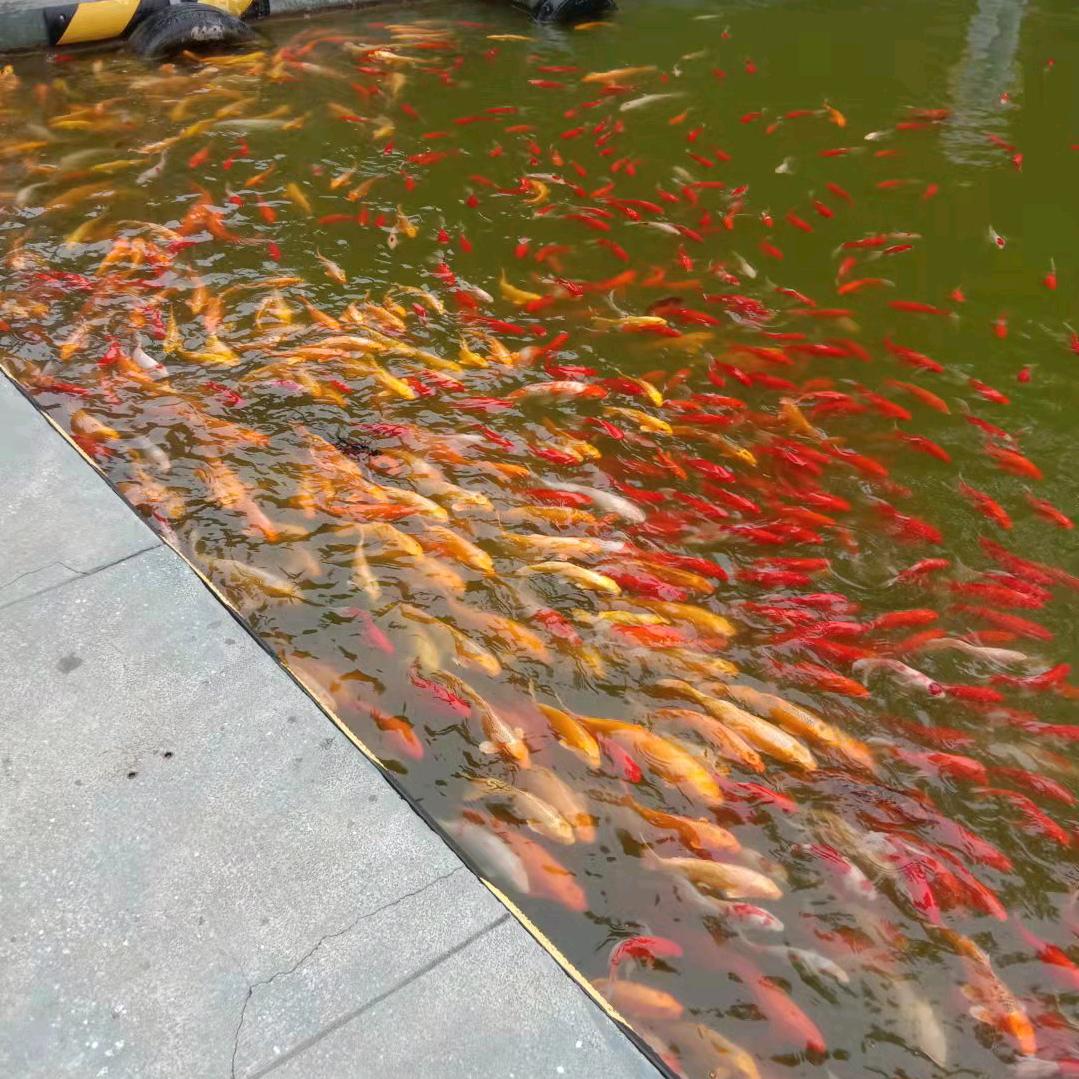 禅茶一味