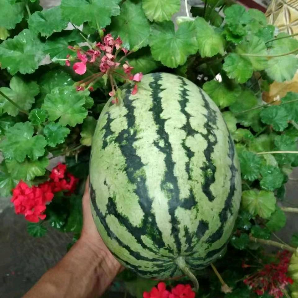 库热班江·亚森