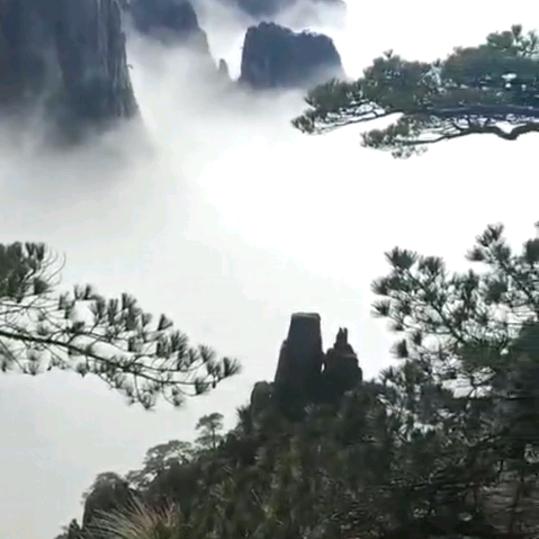 早上好823