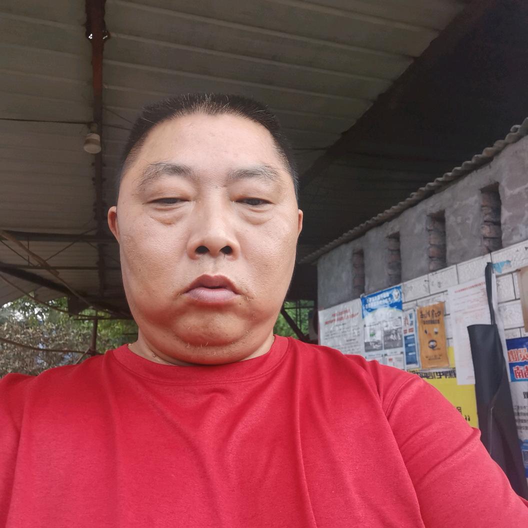 伟伟