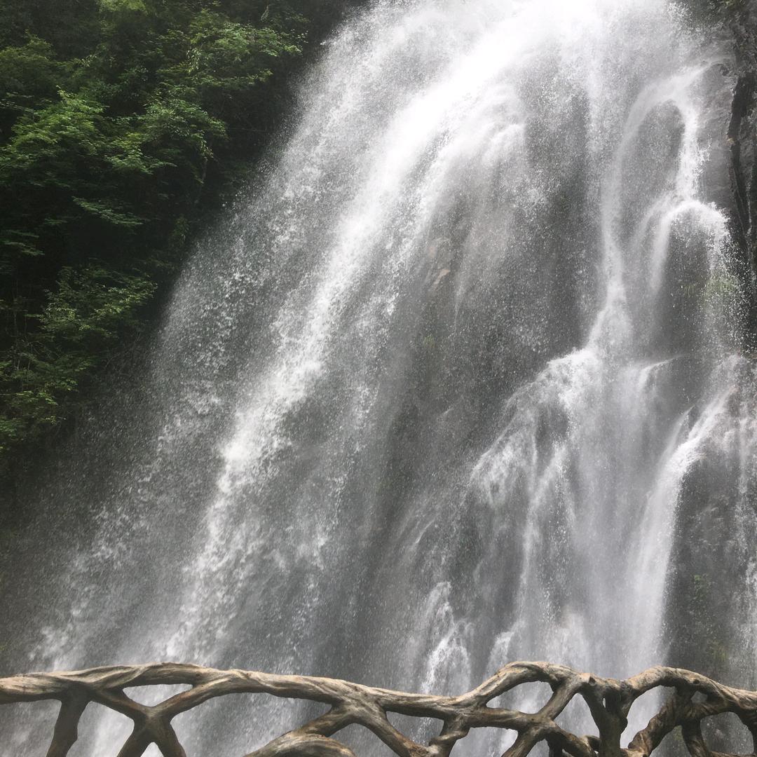 高乐高