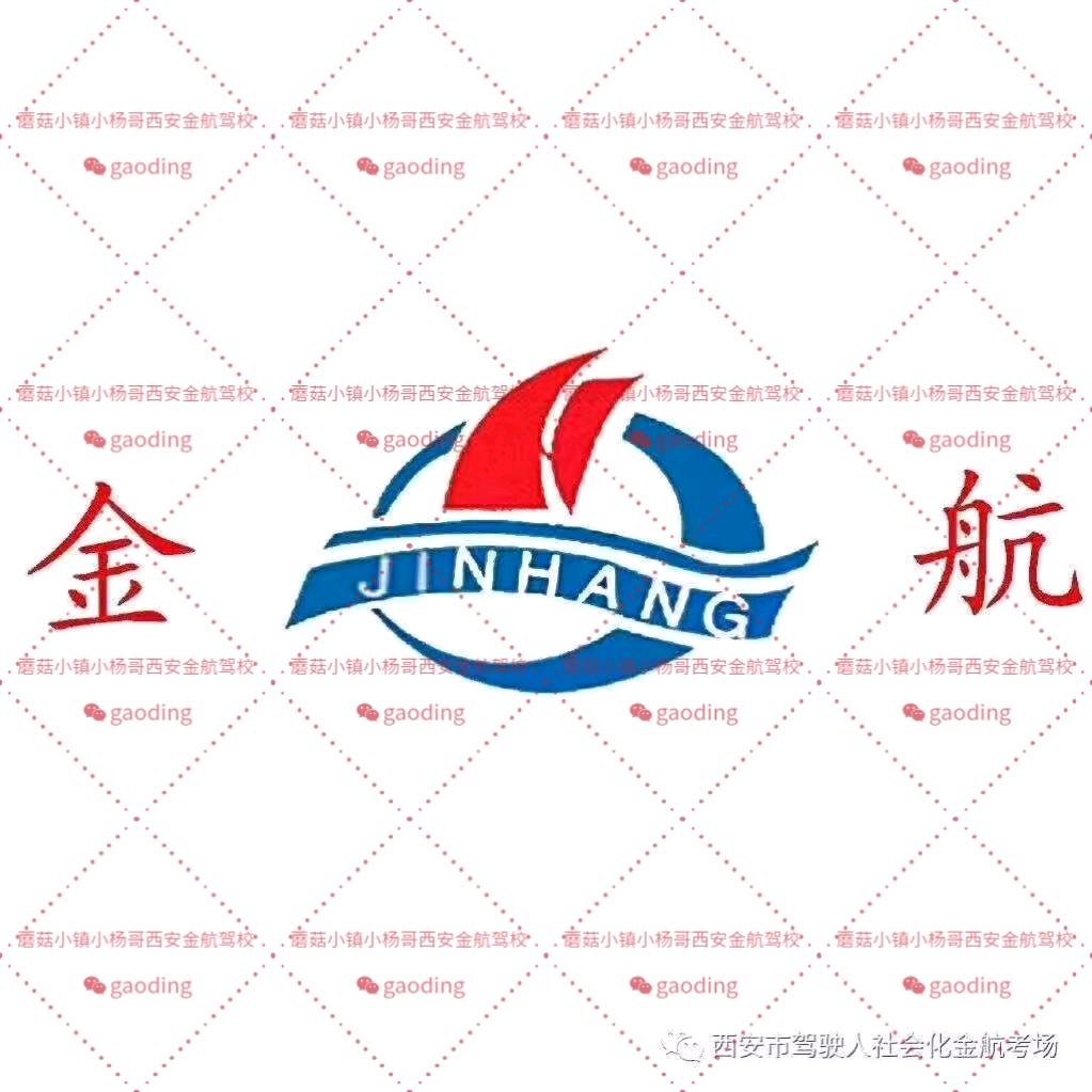 蘑菇小镇小杨哥西安金航驾校