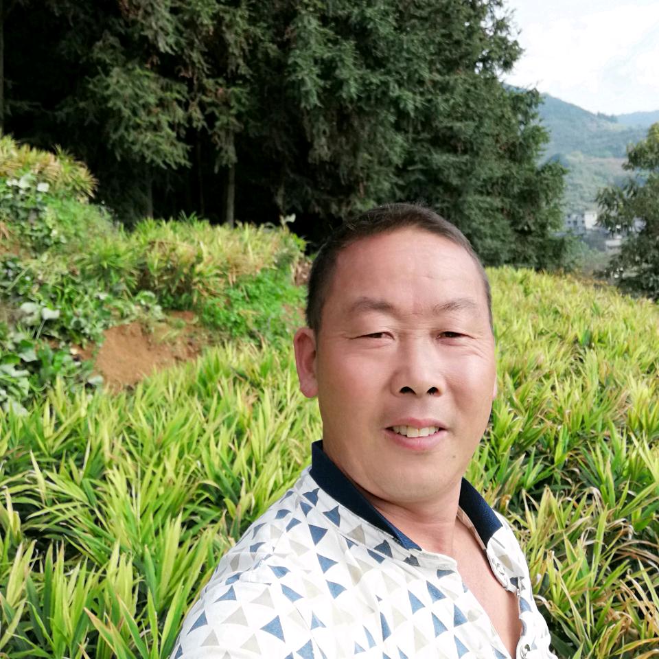 农村天龙聊天主播