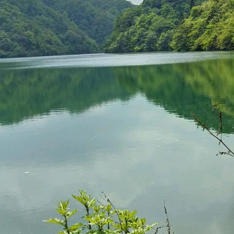 最熟悉的陌生人