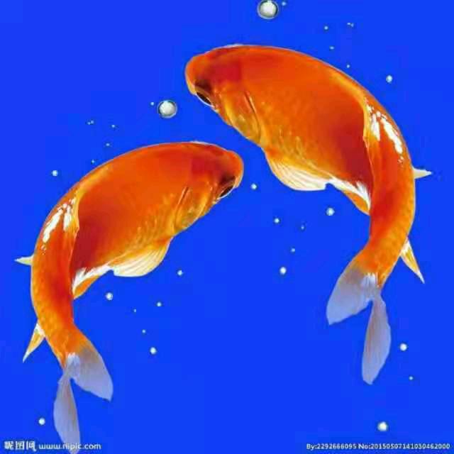 有钱难买健康（情義）