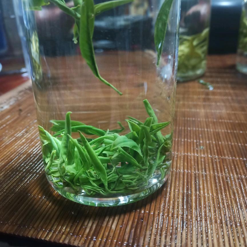 湘渌茗茶