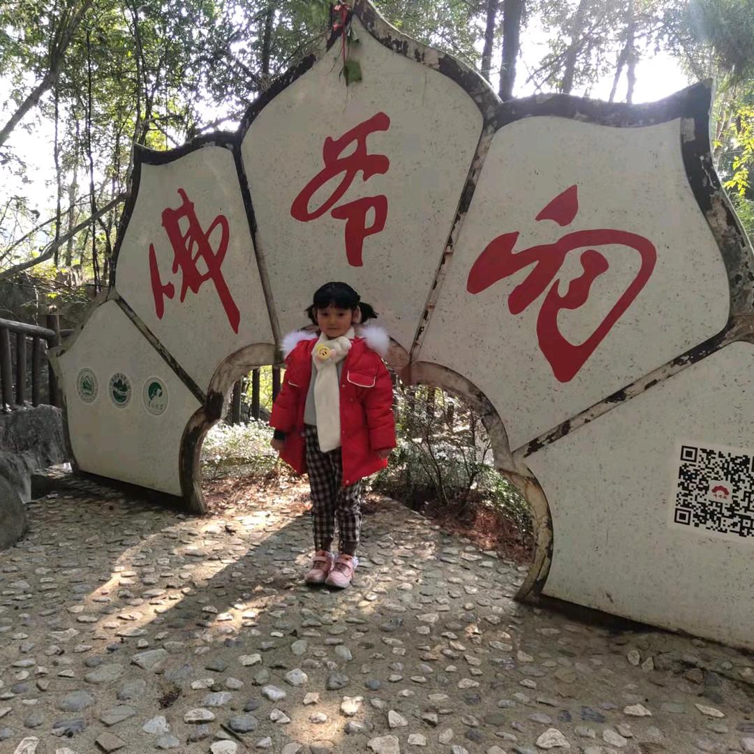 幸运草