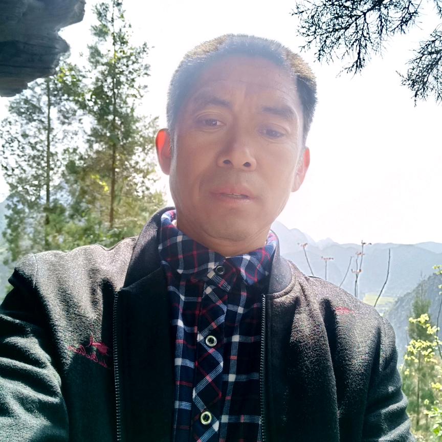 马別花灯哥