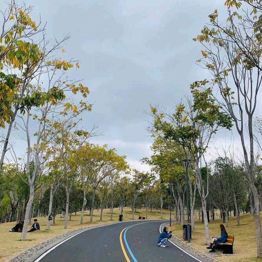 开心过好每一天