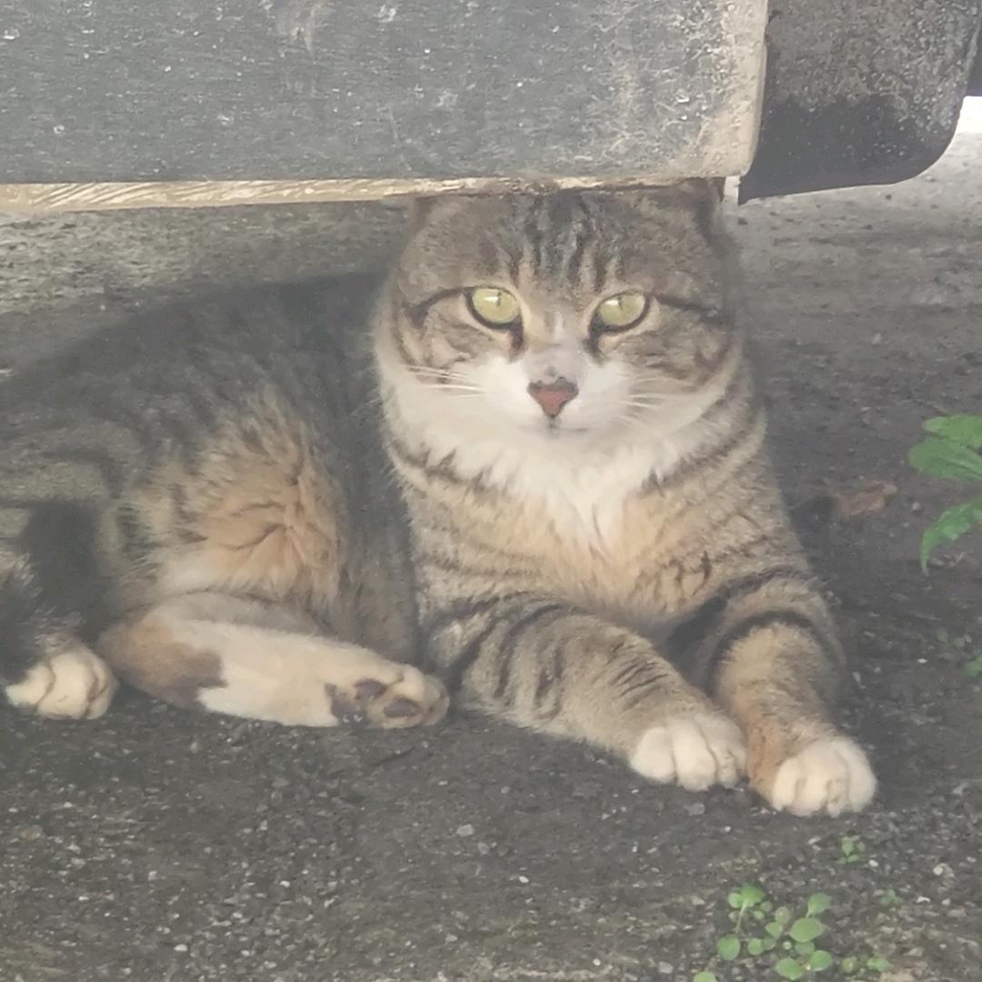 错在时间