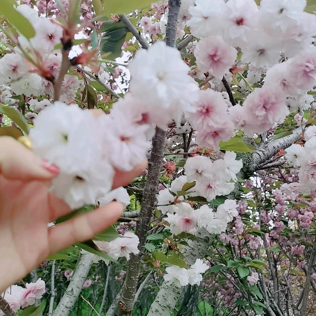 不喜欢我  就离我远点