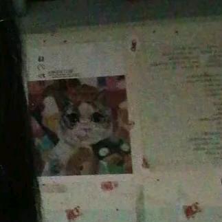 👿。。。。。。