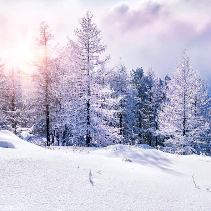 你那里下雪了吗