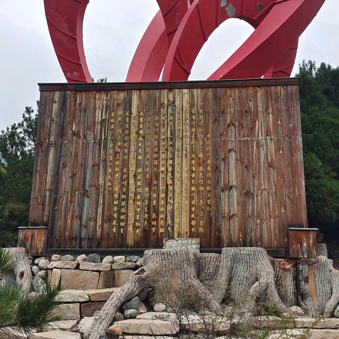 众城房产网络小二哥