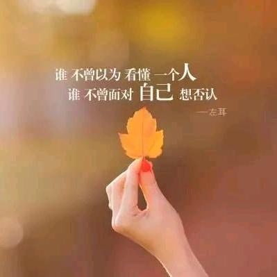 七斗星（三角洲代肝)