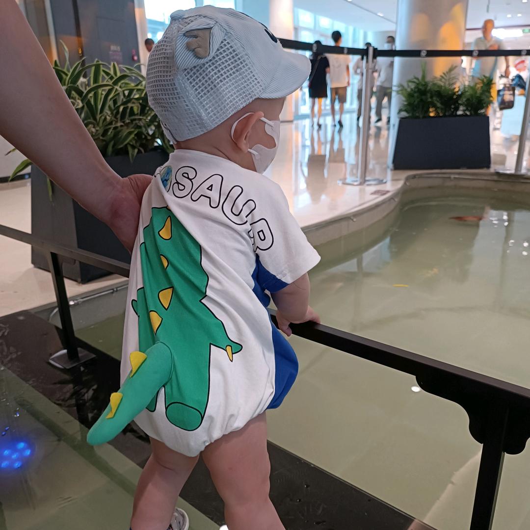 🌈好运兔来了🍀🐰🐰