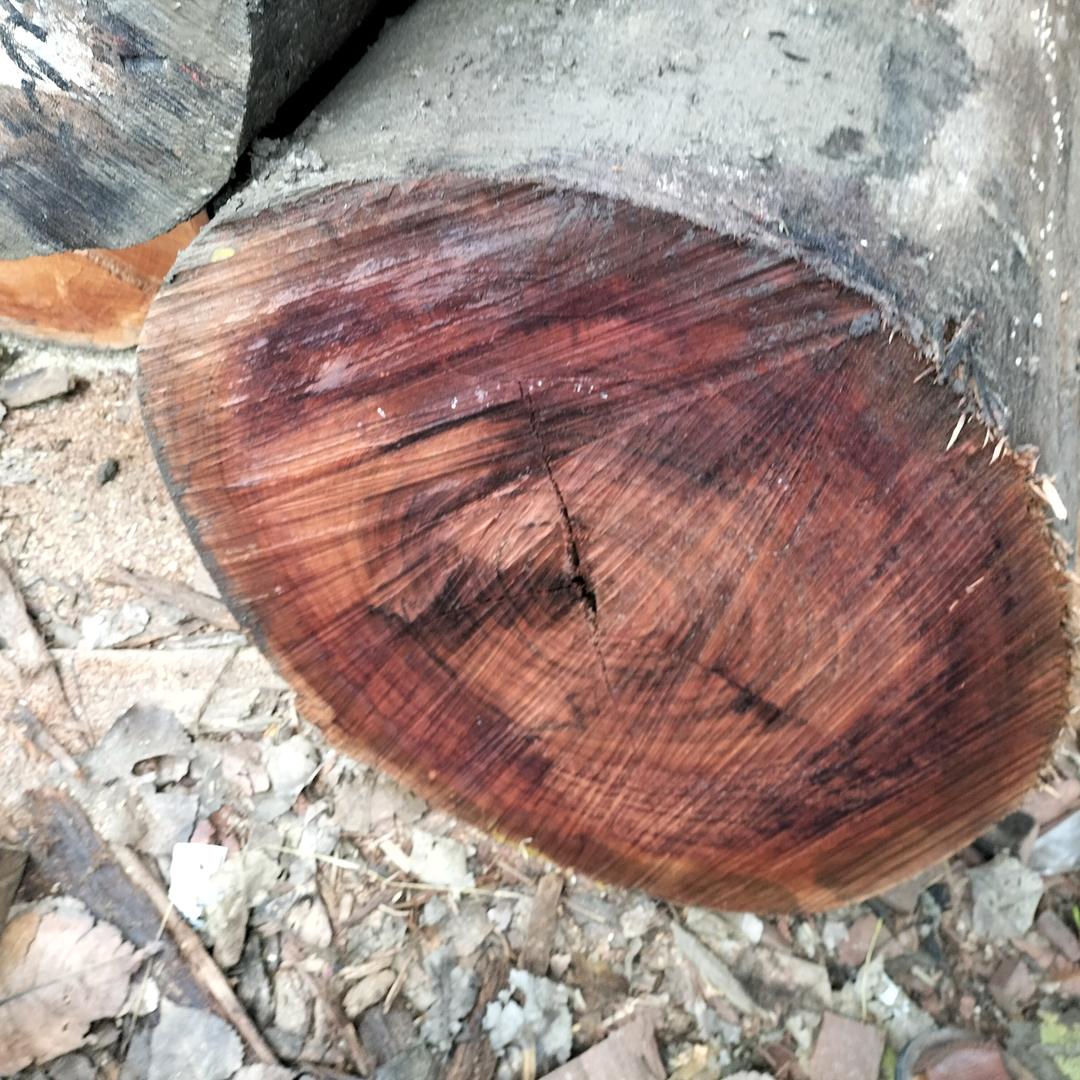 九里墩寿材陈兵