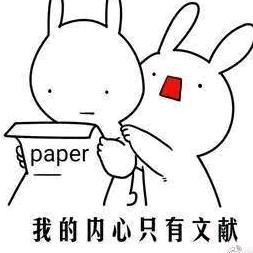 好大一个碗
