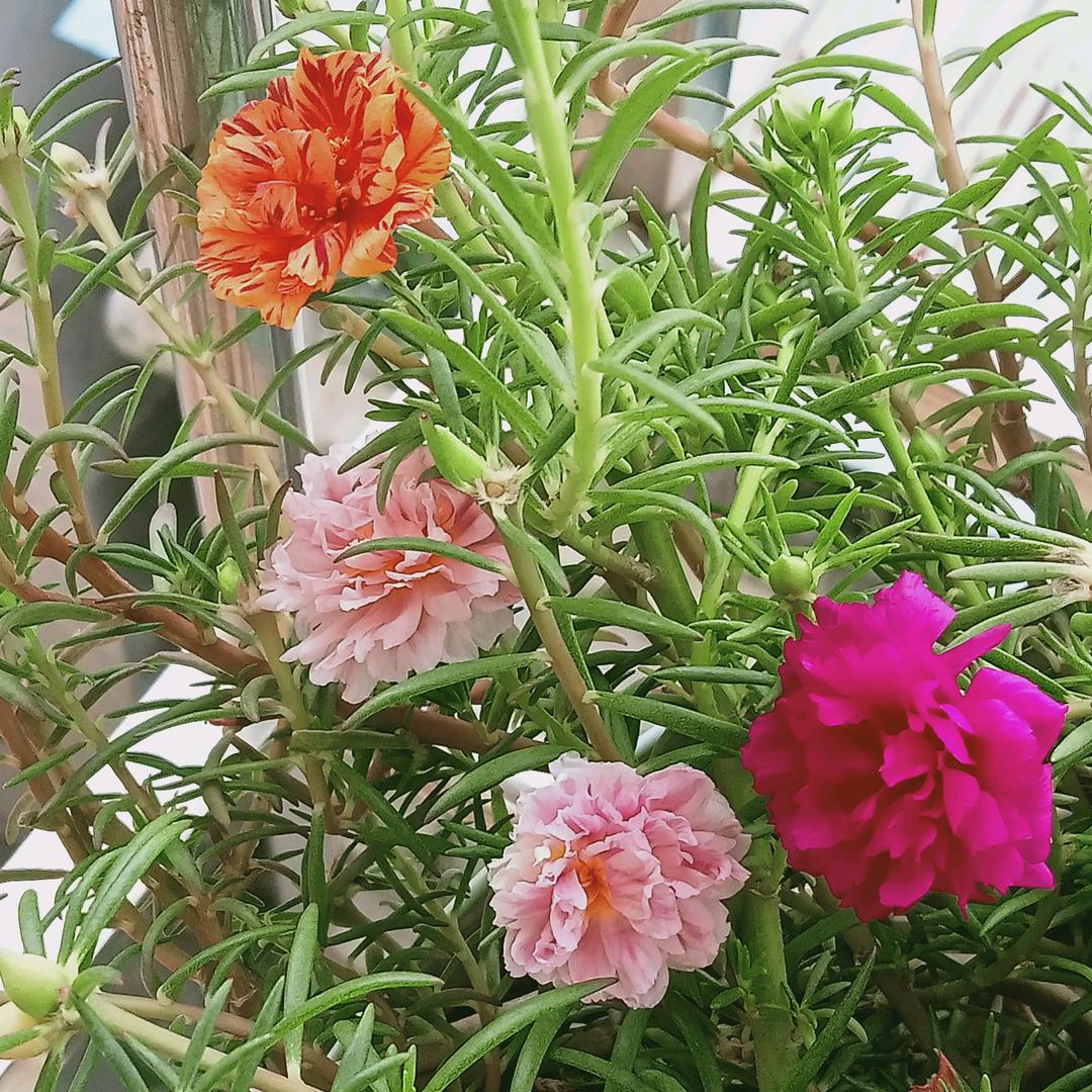 遇见你春暧花开