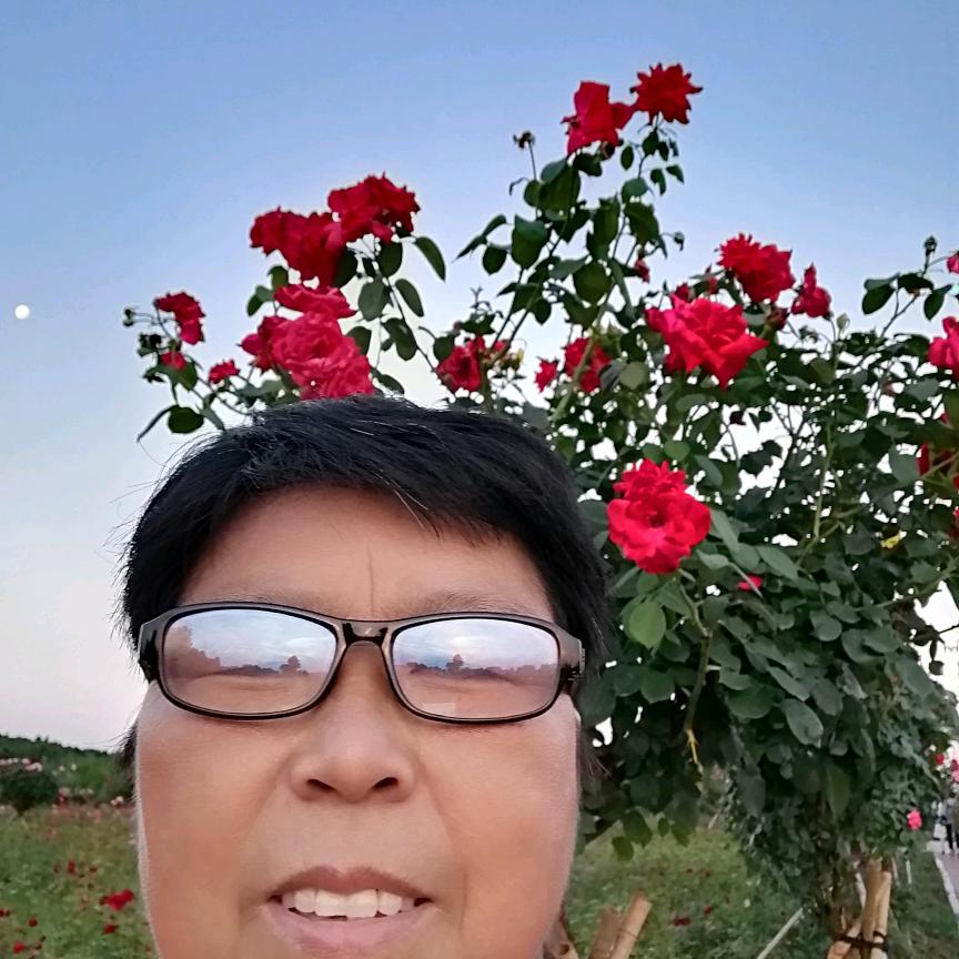 莲花清香