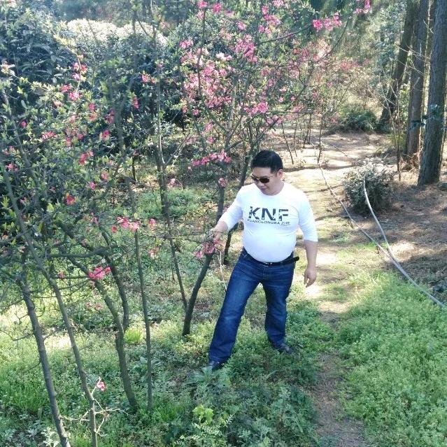不要迷恋哥 哥不帅