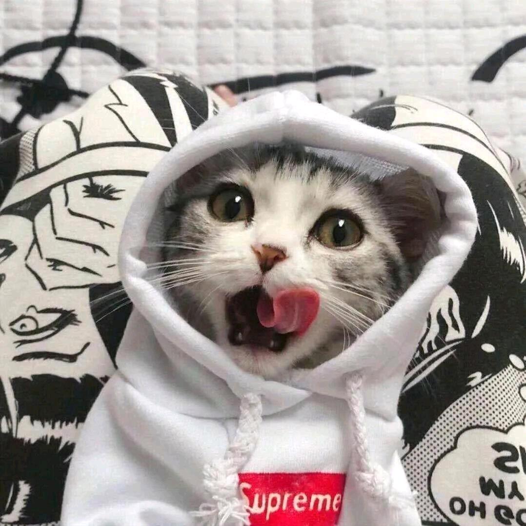 戊午