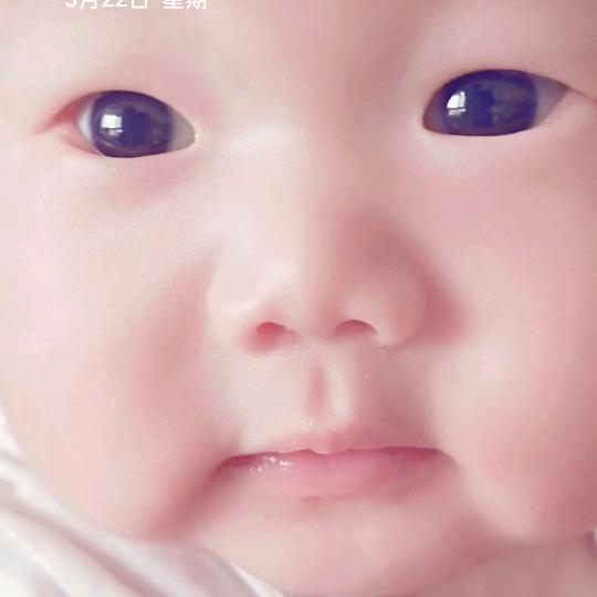 一生情，一杯酒