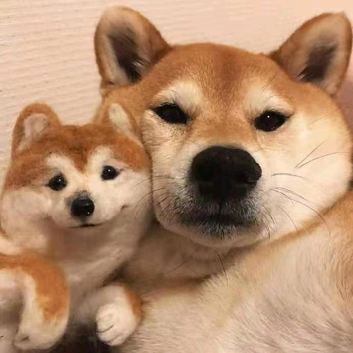 ᵎ(•̀㉨•́)و ̑̑ 加油