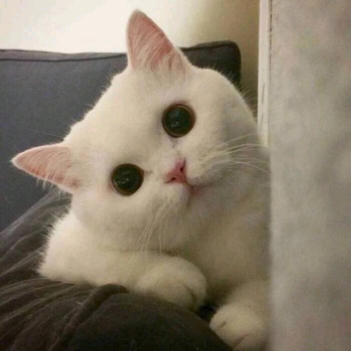 赵暖暖
