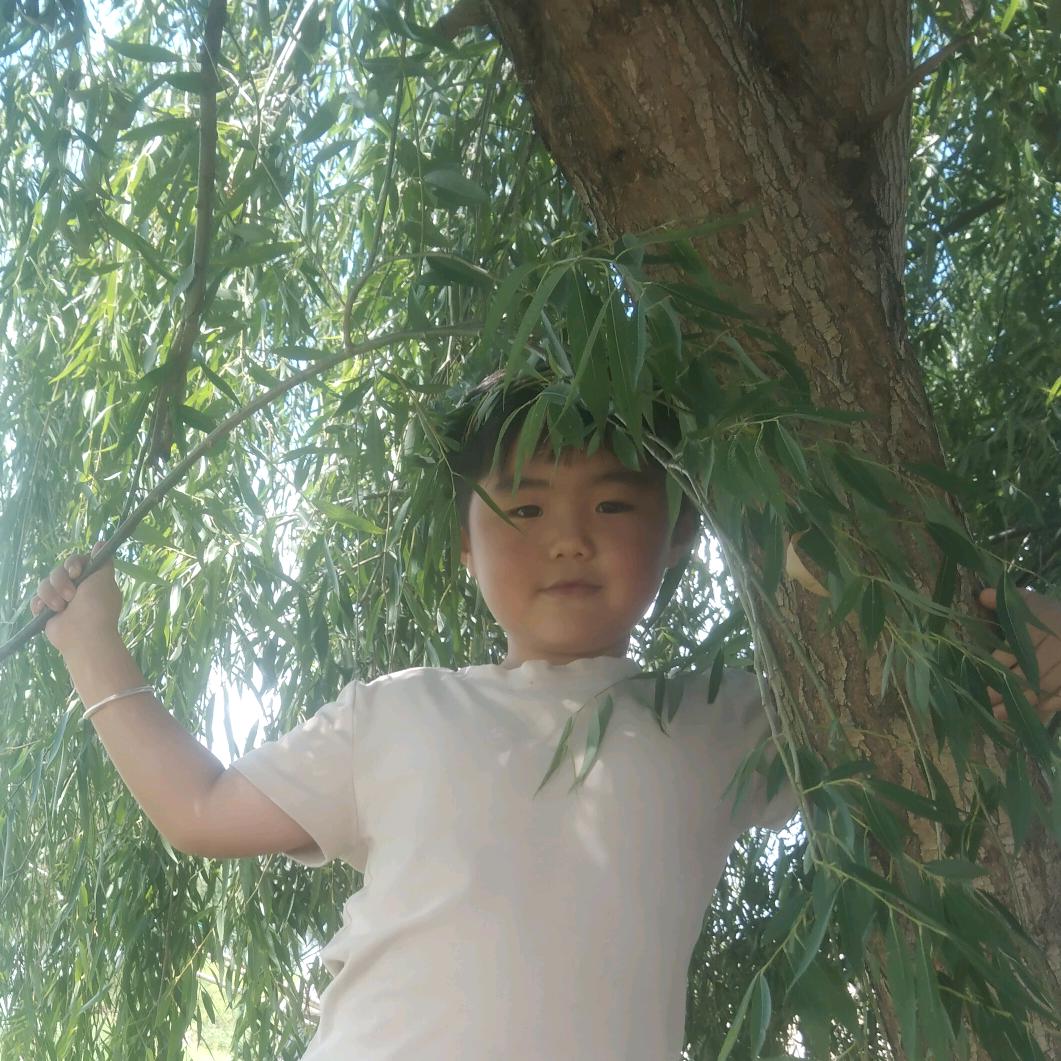 被爱情所伤的我