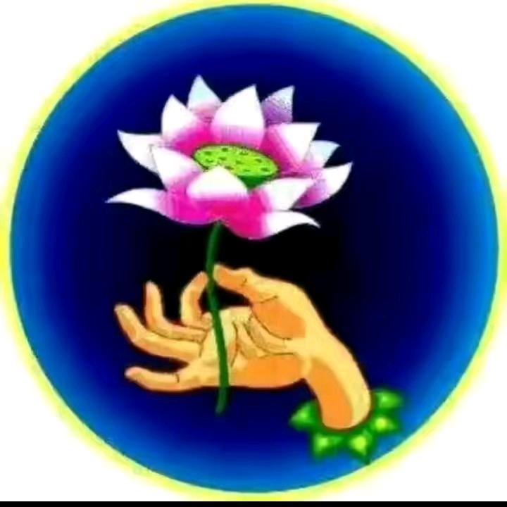 白珍