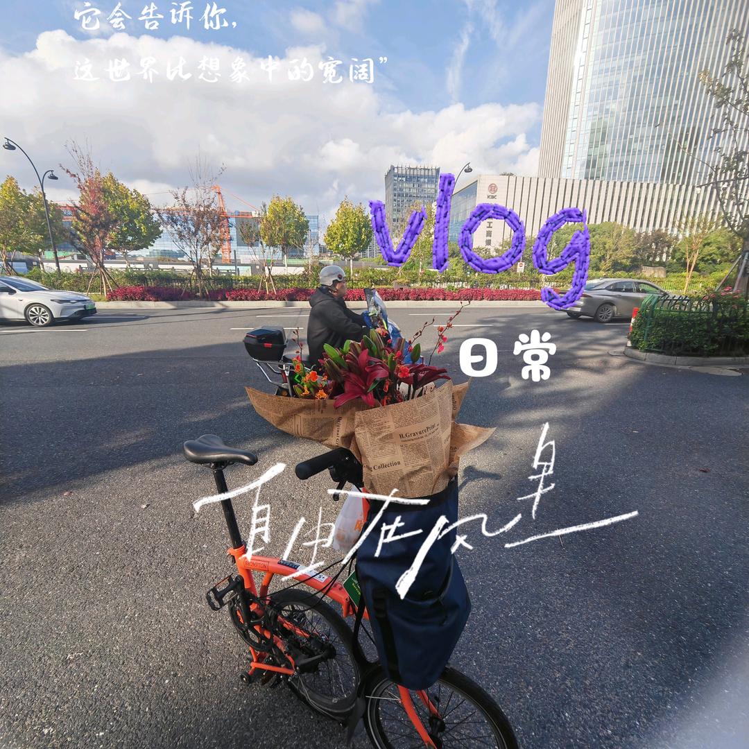 乐逍遥