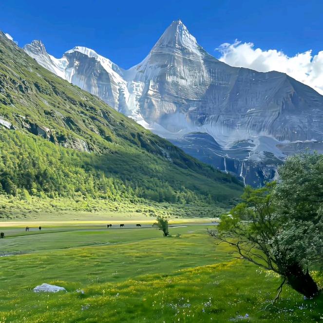 花璐伴刘利霞花璐伴(五西街店)