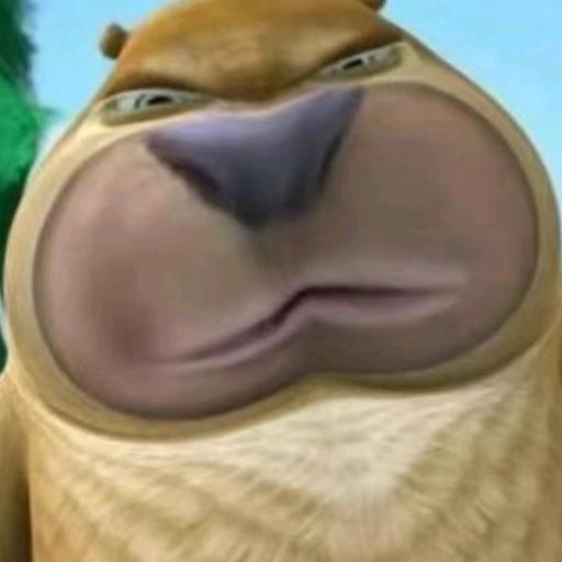 郁闷的雄性二哈