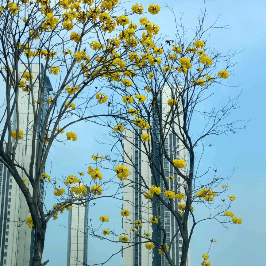 重启