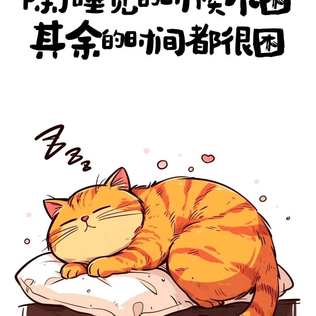 是芋头哦