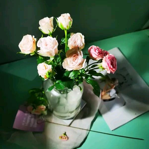 仅此而已💞