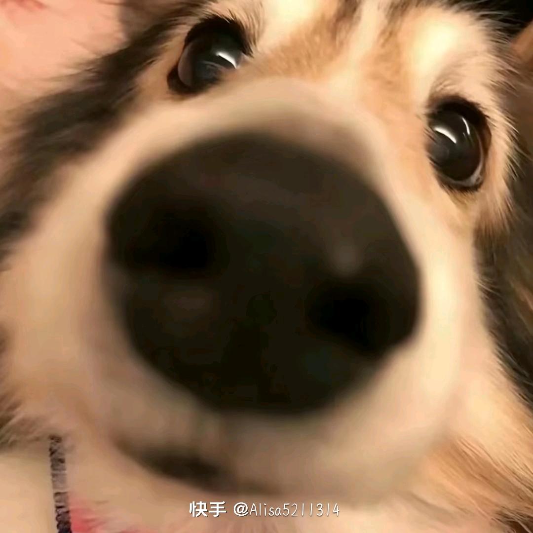 放题式民谣酒馆小龙