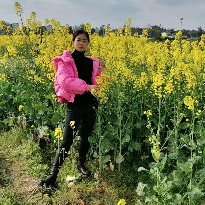 芳🌷芳