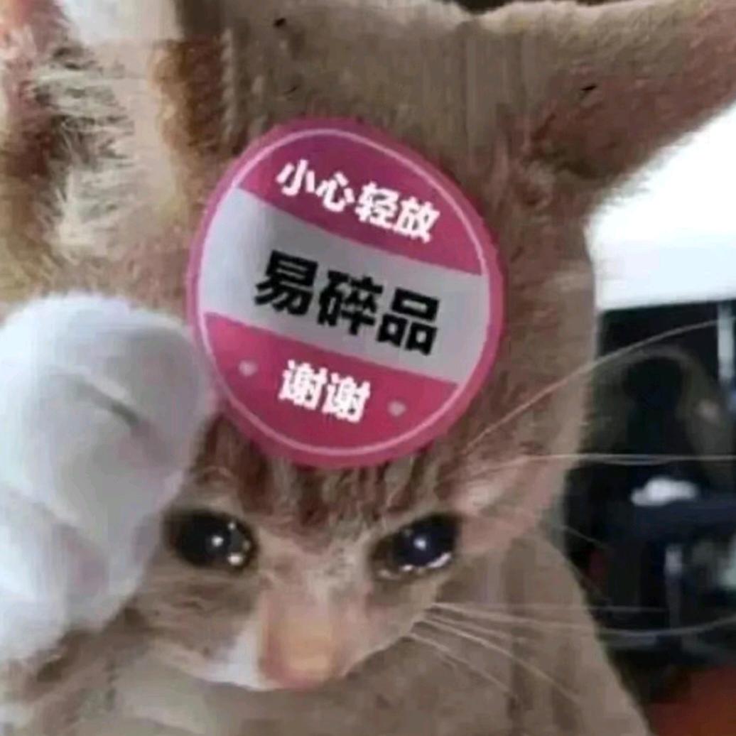 我没有能力