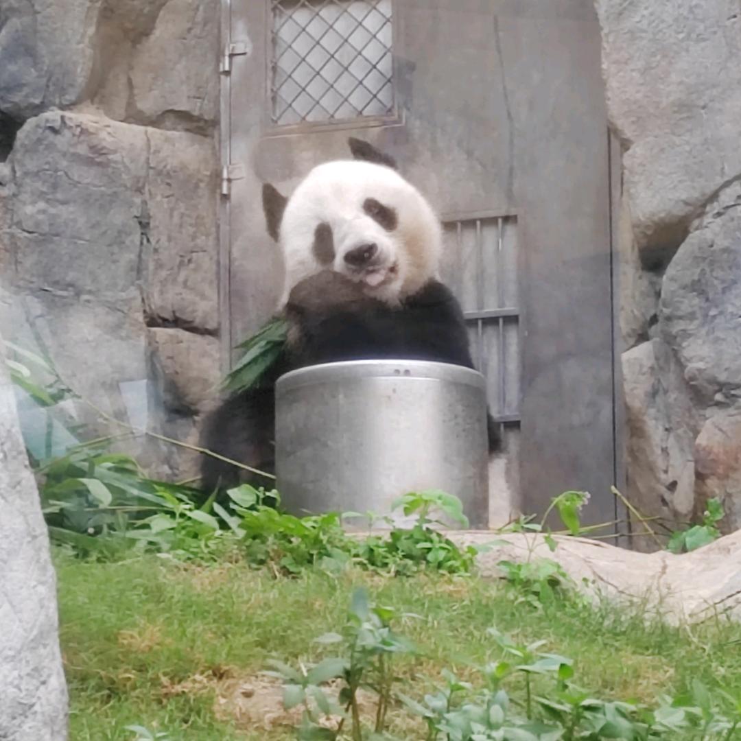 俊俊妈