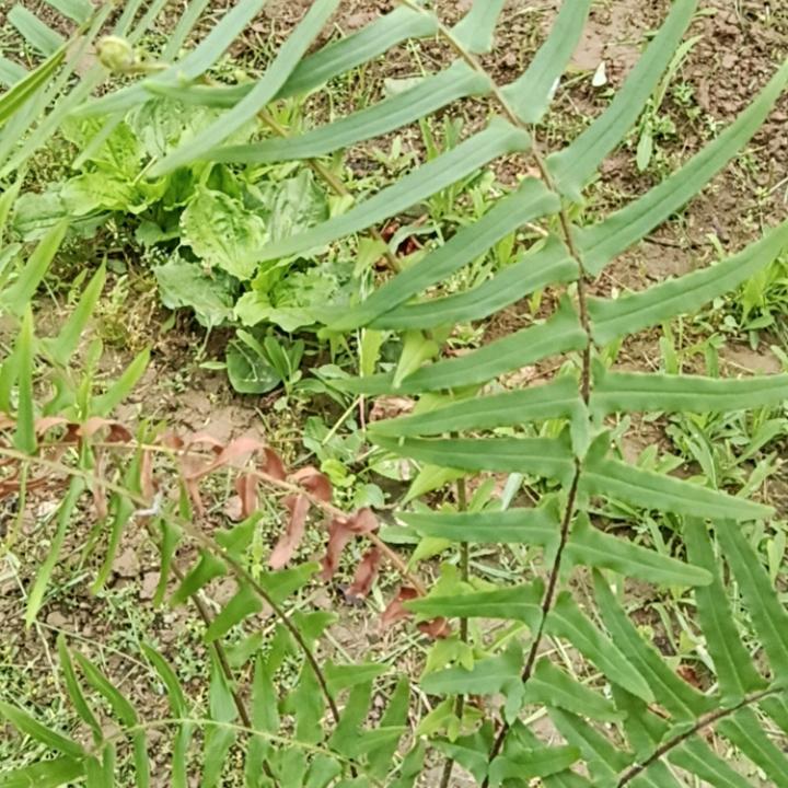 。。。。。。。。。。。。。。。。