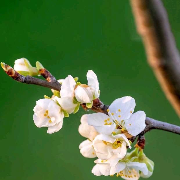 拾☞芥