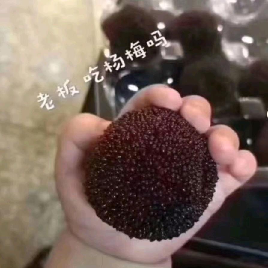 小忠。