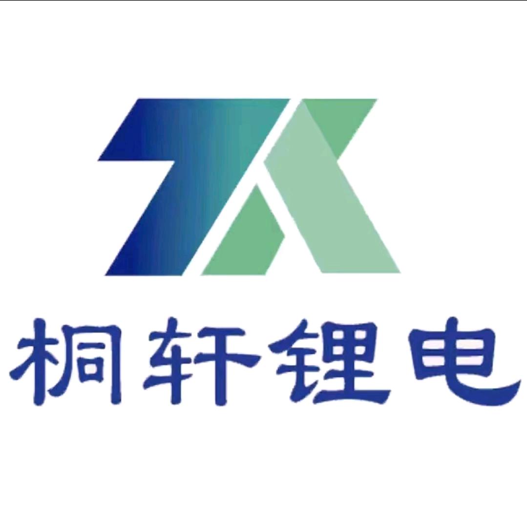 桐轩锂电（双港店）