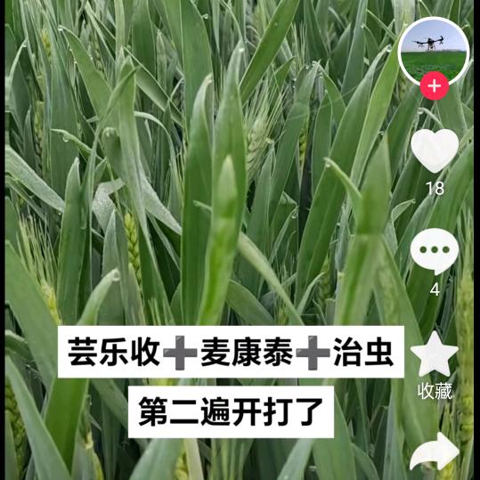 农村人